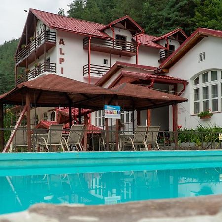 Pensiunea Alpin Păltiniş Exterior foto