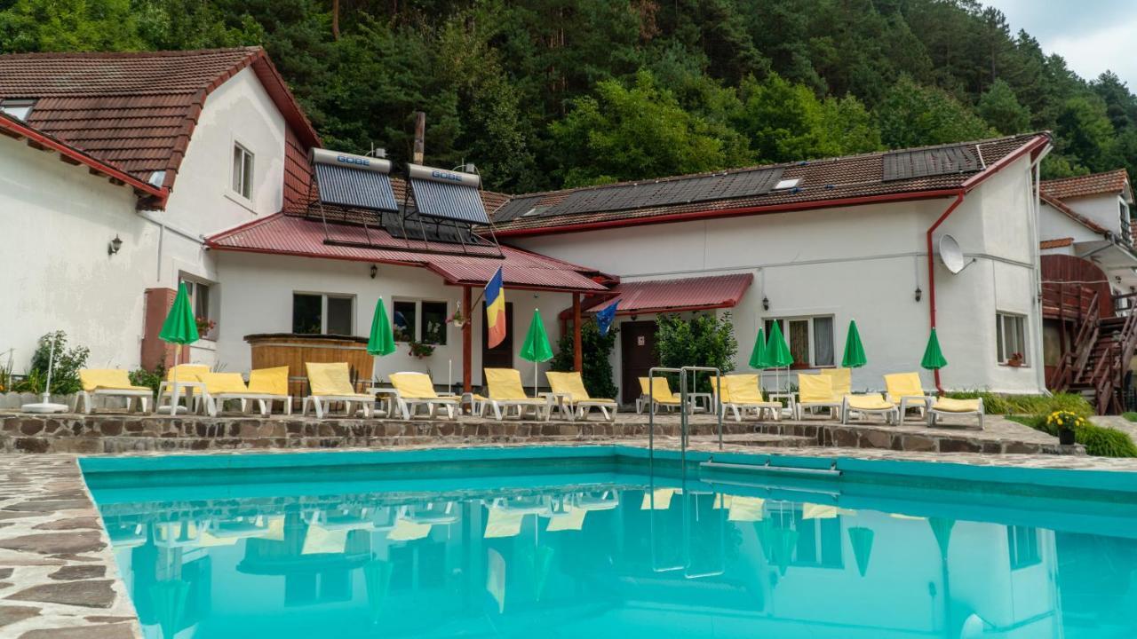 Pensiunea Alpin Păltiniş Exterior foto