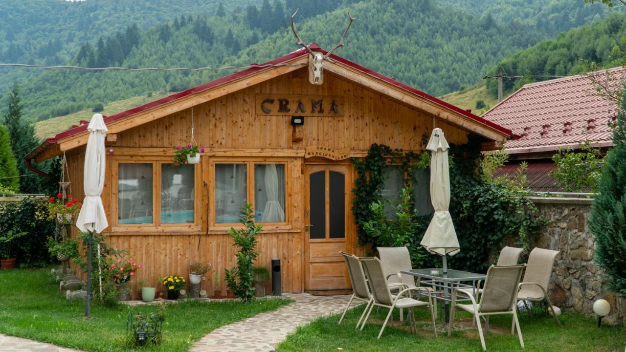 Pensiunea Alpin Păltiniş Exterior foto