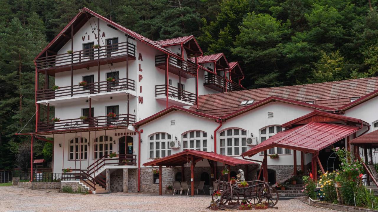 Pensiunea Alpin Păltiniş Exterior foto