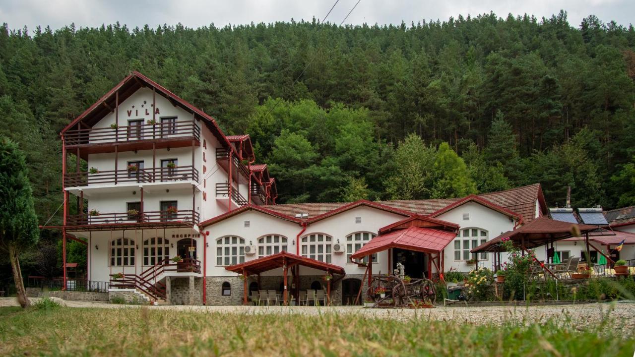 Pensiunea Alpin Păltiniş Exterior foto