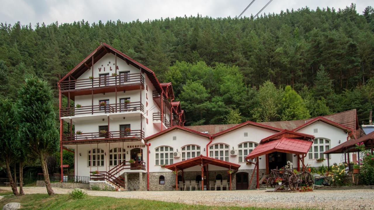Pensiunea Alpin Păltiniş Exterior foto